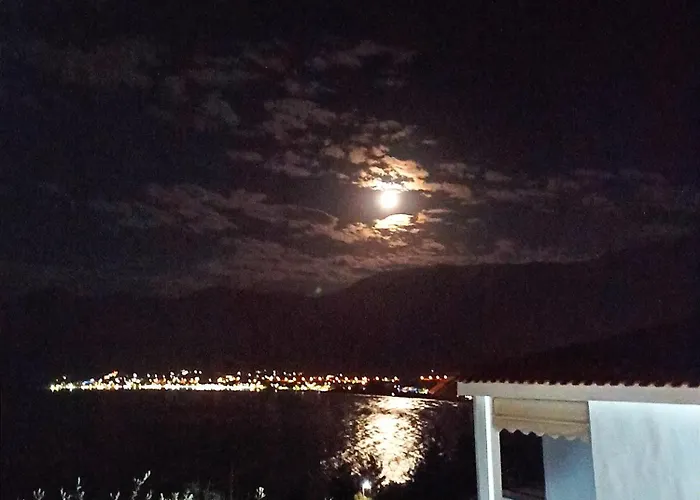 Maria Chrysi Ammoudia