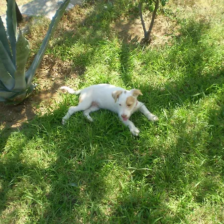 Maria Διαμέρισμα